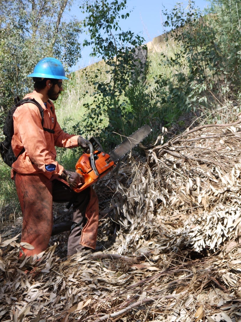 Brush MGMT