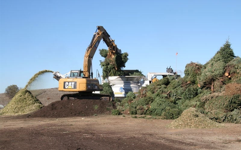 Construction vehicle recycling christmas trees