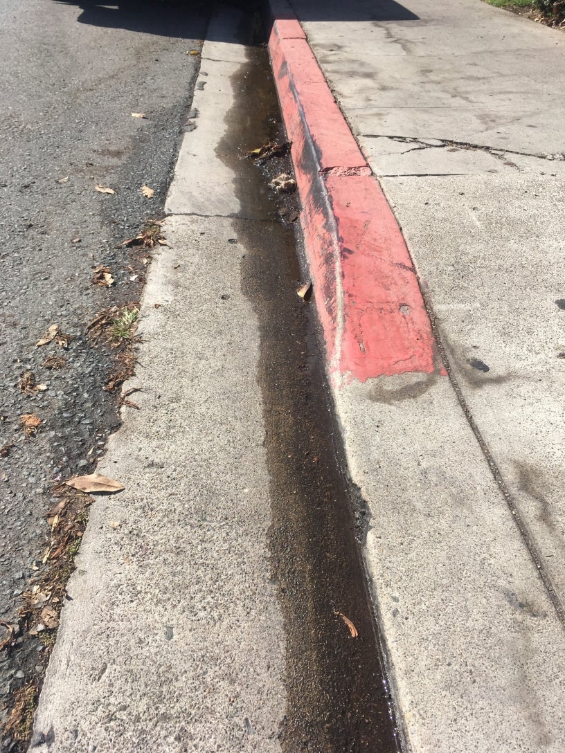 Storm Drain Pollution: Bacteria