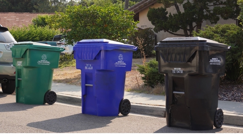 Trash bins along a curb