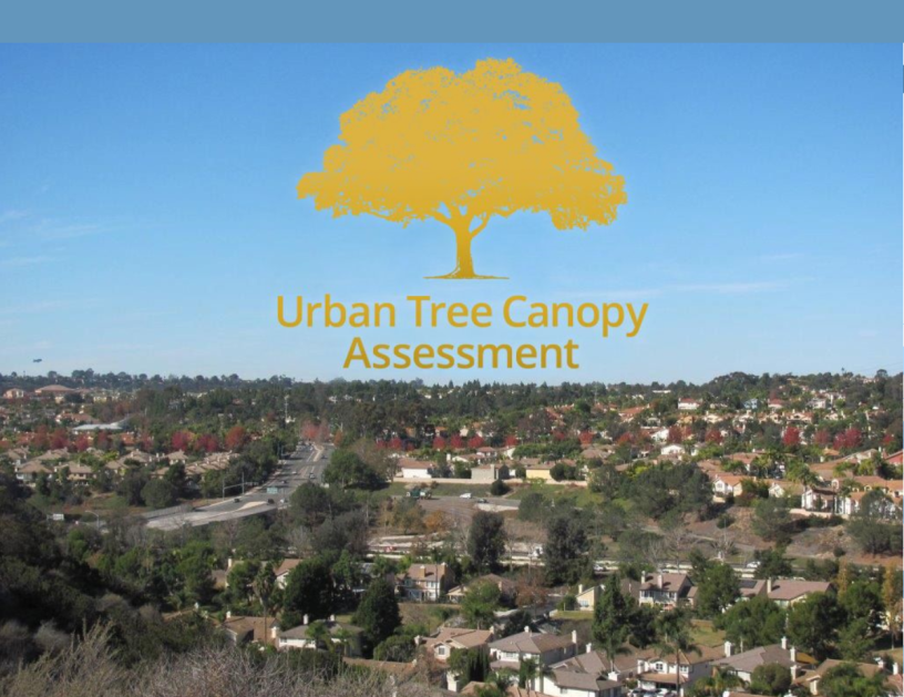 Urban Canopy Story Map 