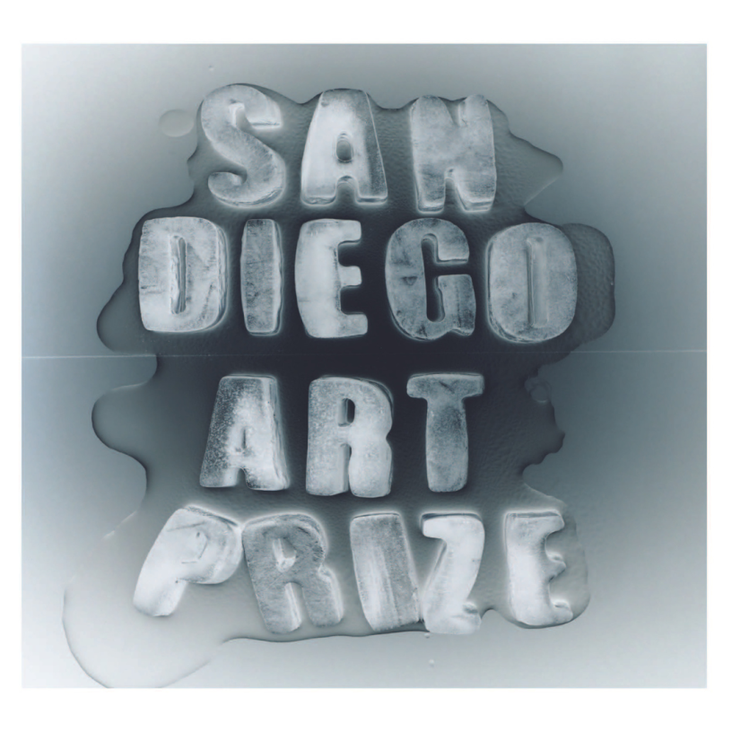 San Diego Art Prize marketing photo