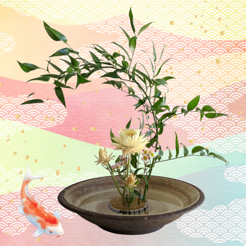Koi fish next to plant