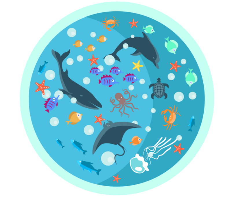 Illustration with whale, dolphin, stingray, turtle, and stafish.