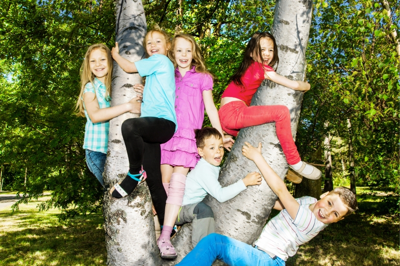 Children sitting in a tree