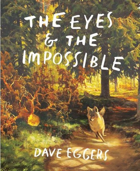 Book Cover for The Eyes and the Impossible