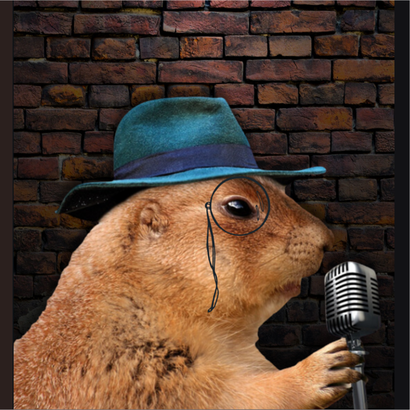 Animal with hat and mic