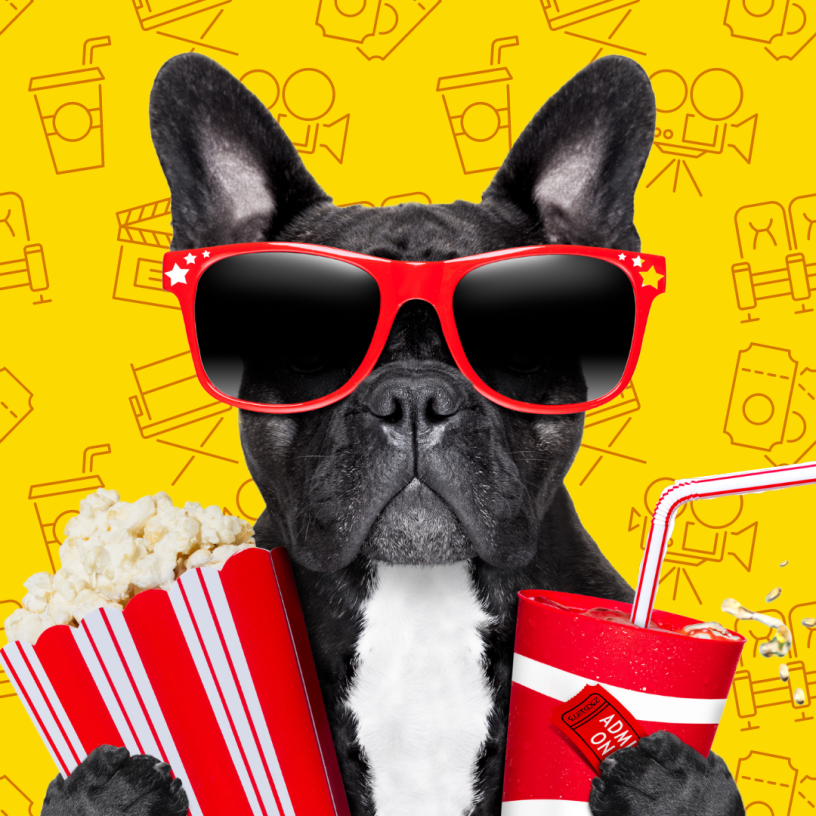 Dog wearing sunglasses and holding popcorn and cup