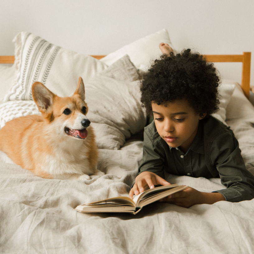 Child on bed reading a book with dog