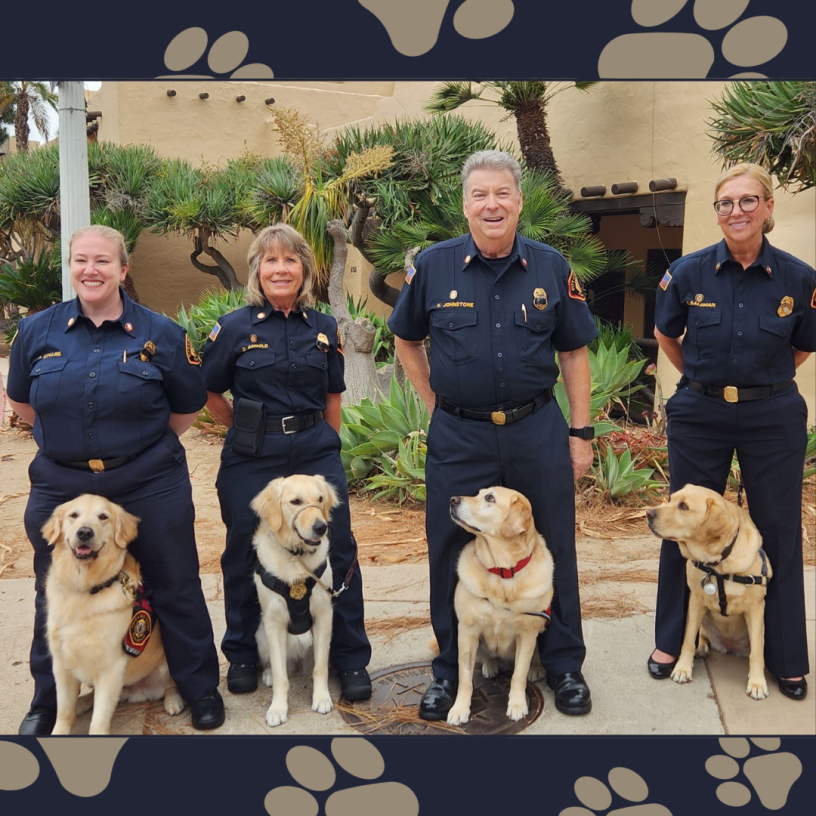 Service dogs with their humans