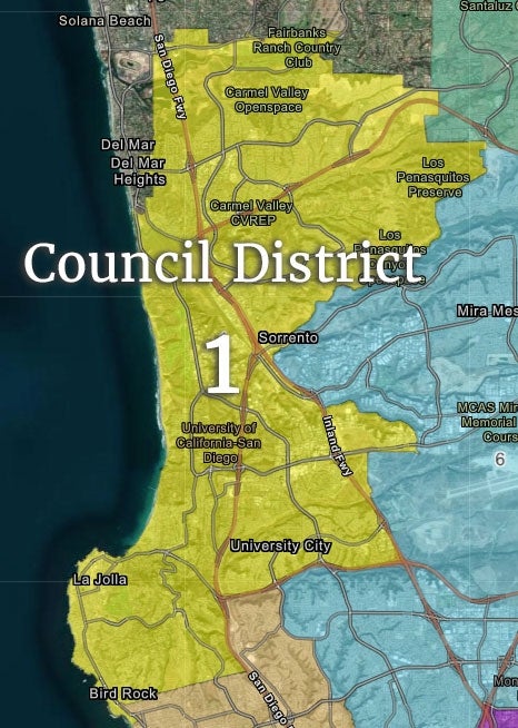 Council District 1 map