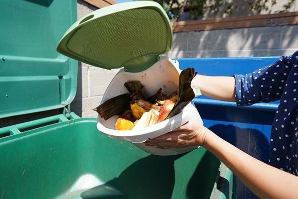 130lt Mobile Refuse Bin (green) Organic Waste Ibp1130