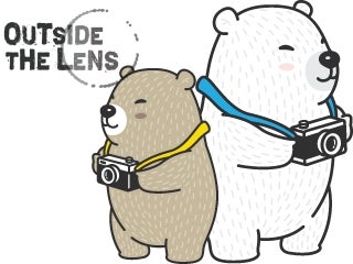 Graphic of two bears with cameras