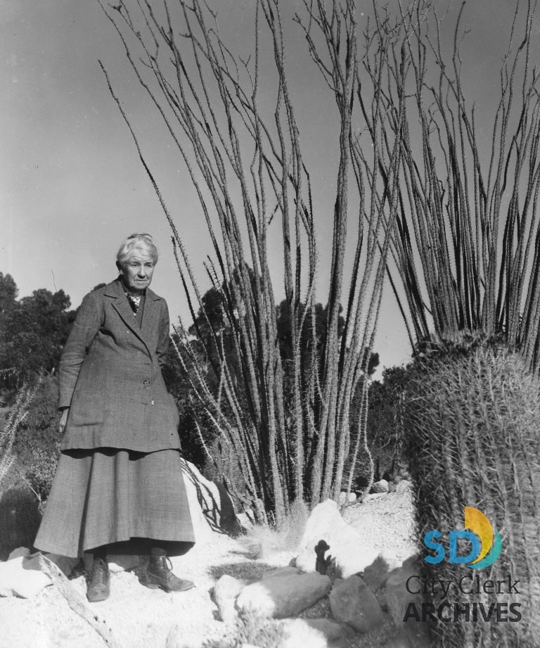 Kate Sessions near Ocotillos in Balboa Park Cactus Garden