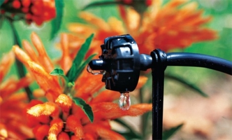 drip irrigation with flowers