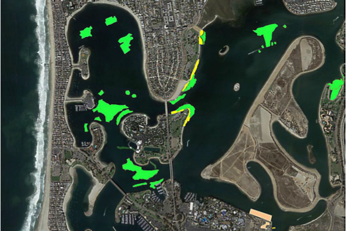 This map illustrates where eelgrass replanting will take place 