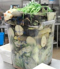 Food scraps bucket