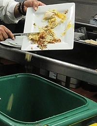Food Scraps into bin