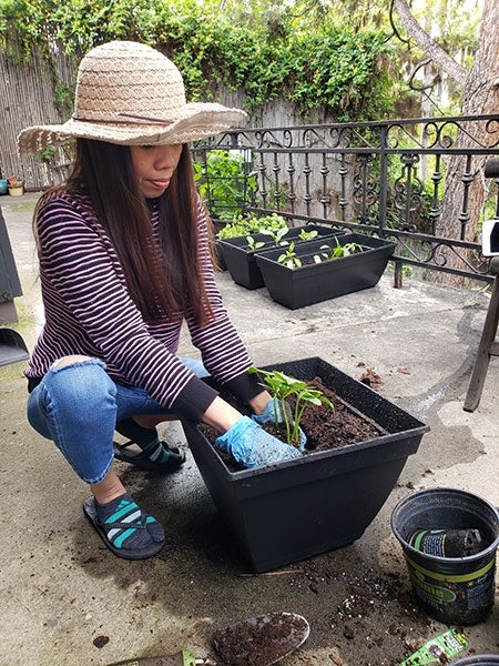 photo of woman gardening