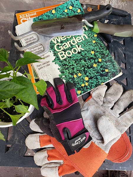 photo of gardening book and gardening gloves