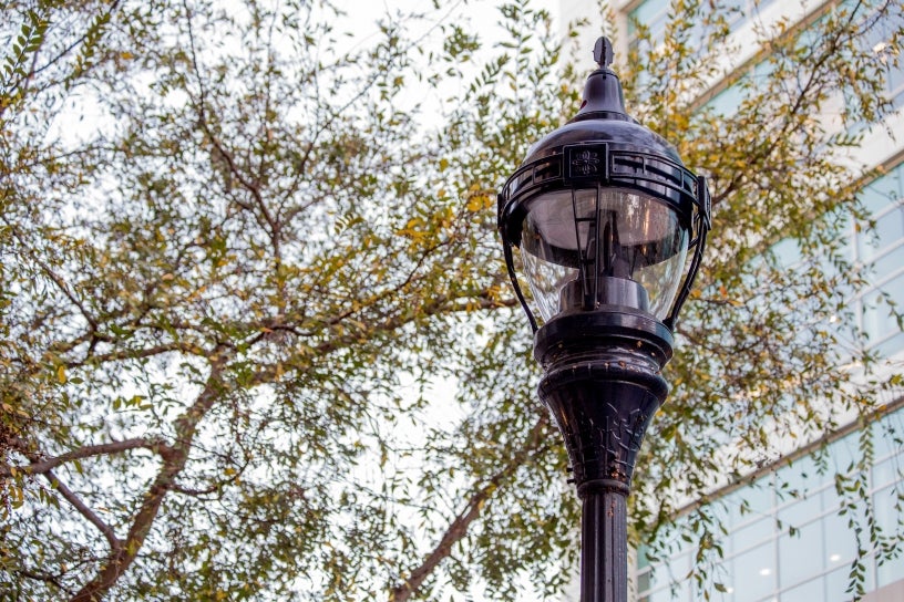 street light with building and tree in the background