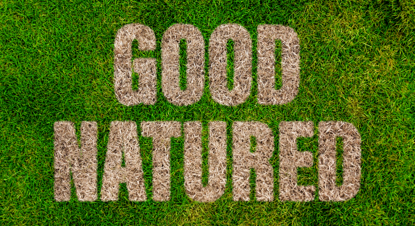 Good Natured: Art & the Environment