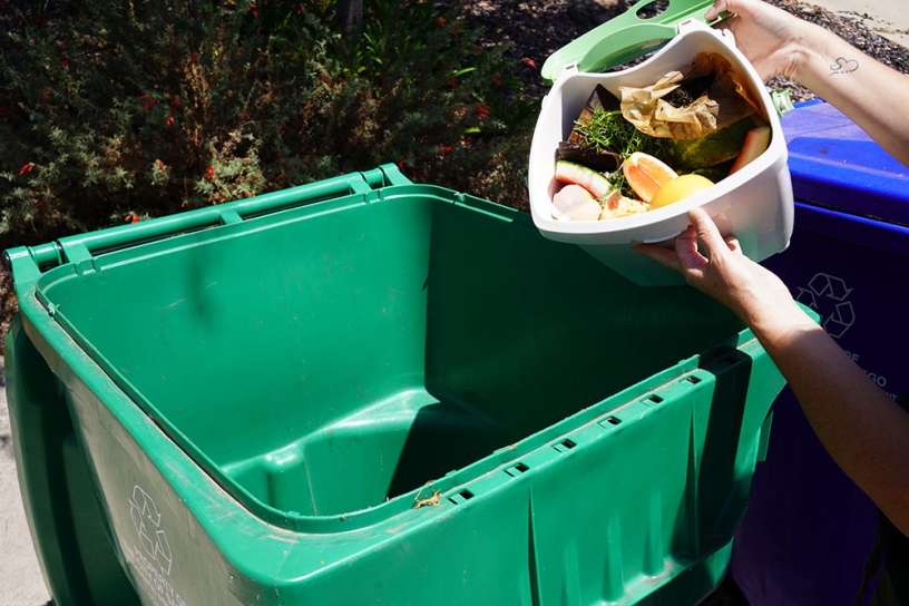 green bin with organic waste