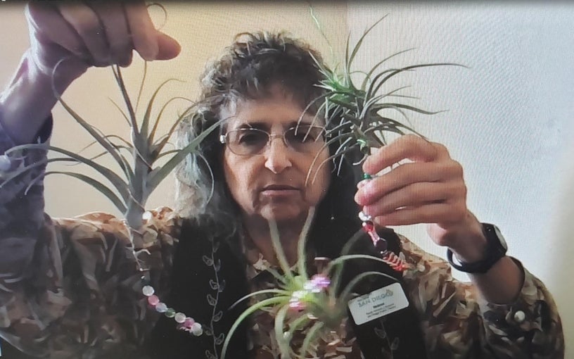 How-To Festival - Helene Idels - How ot make a decorative airplant