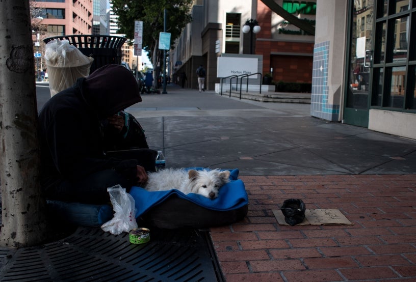 Person in silhouette sitting on the street with dog