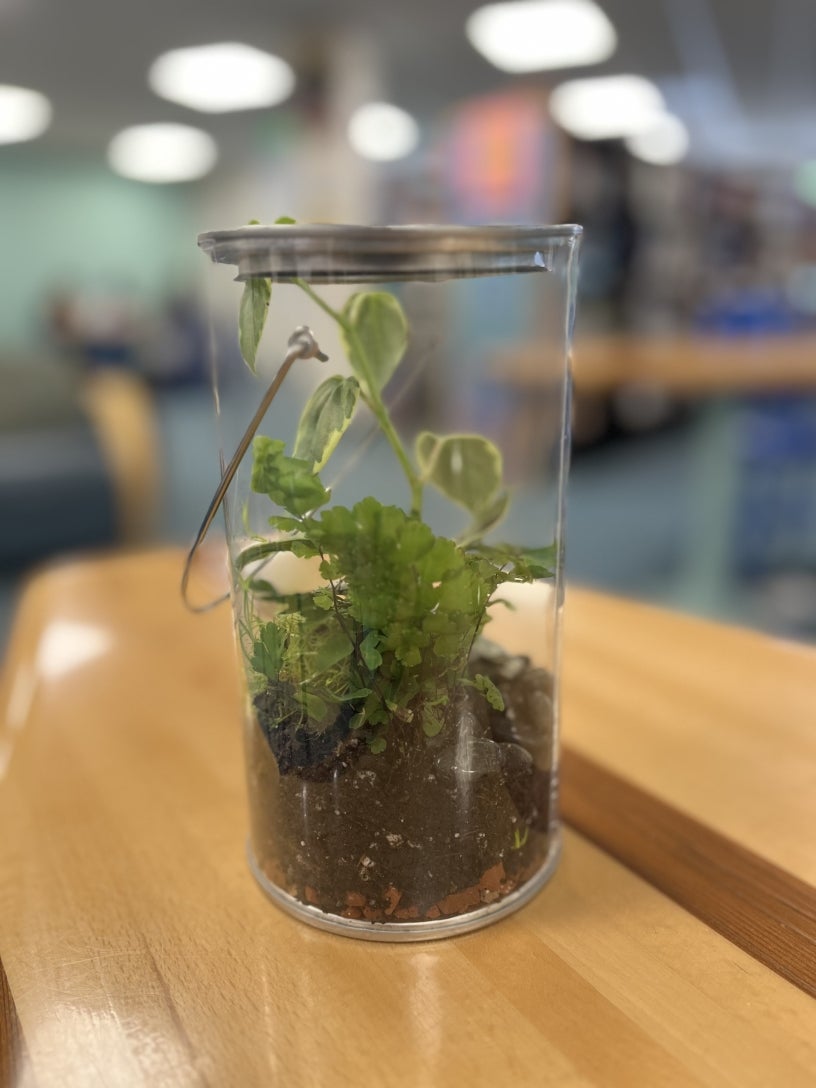 How-To Build a Terrarium