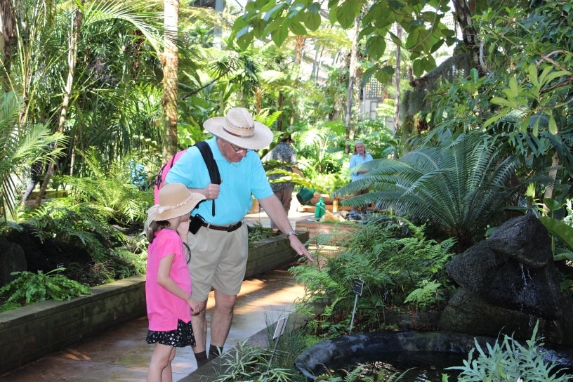 Visitors enjoying the plants in the Balboa Park Botanical Building