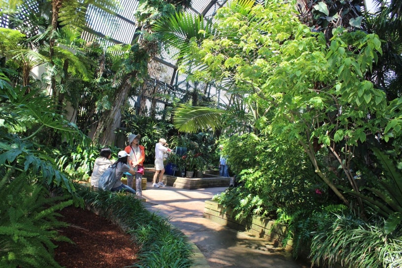 Plants in the Balboa Park Botanical Building