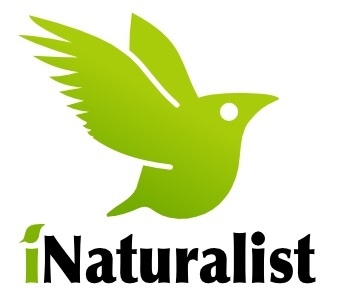 iNaturalist logo