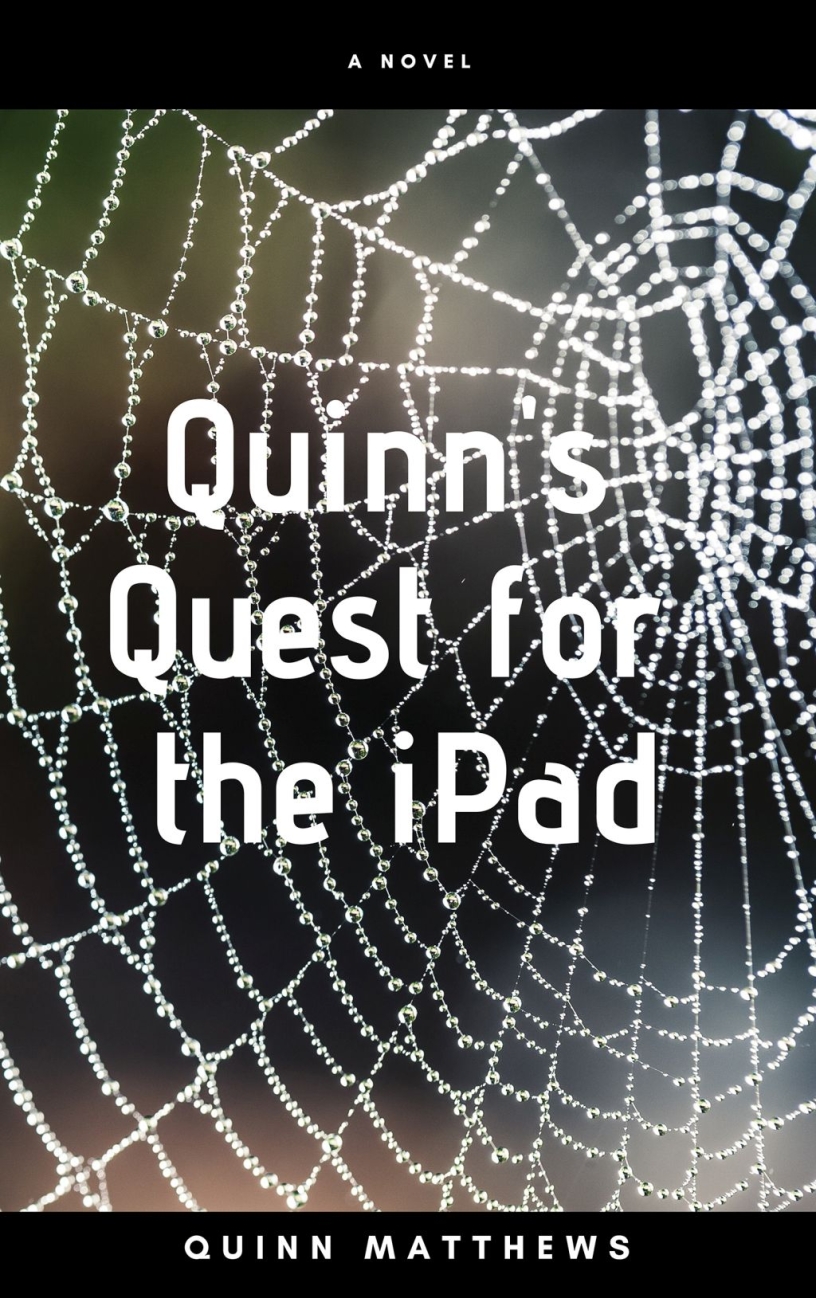 Quinn's Quest for the iPad by Quinn Matthews