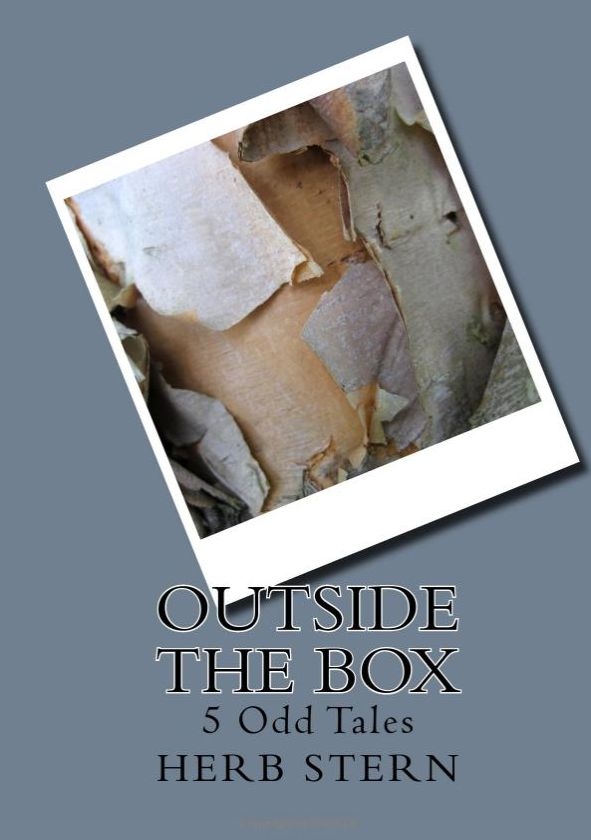 Outside the Box by Herb Stern