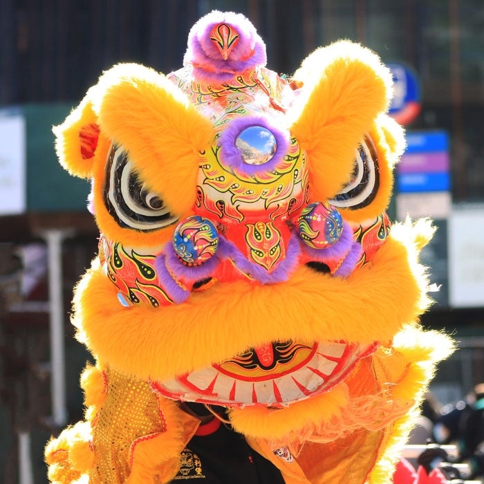 Yellow Lion Dance costume