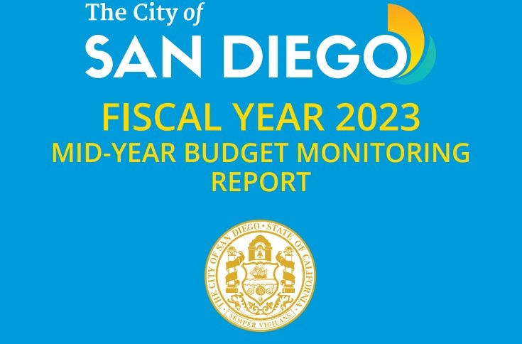 Mid-Year Budget Monitoring