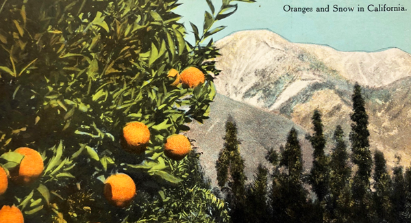 Postcard image of oranges and snow peak mountains