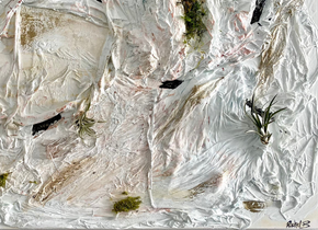 Close-up of a mixed-media painting with a wrinkled white fabric background and bits of moss and air plants on top by artist Rachel Berkowitz.