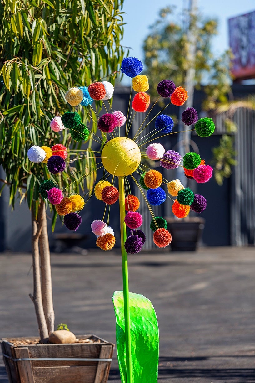 Pom Pom Project