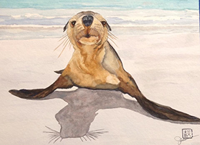 Seal waterpainting by Jeanne Ames