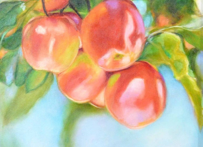 Apple watercolor painting by S. Bruce
