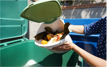Kitchen compost bin being dumped out into green bin