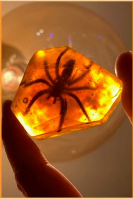 Spider embedded in amber