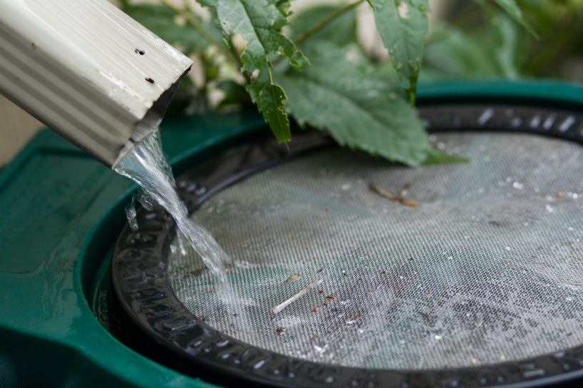 water flowing into a rain barrel