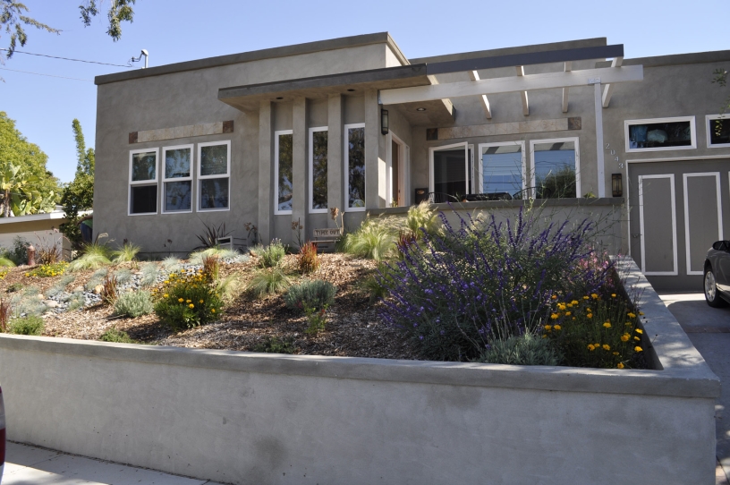 drought tolerant front yard