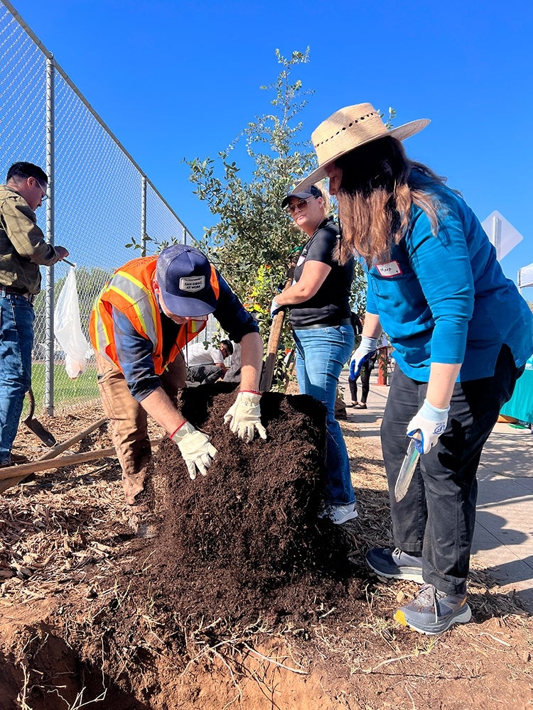 people planting a tree