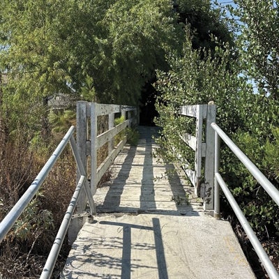 Chollas Creek Oak Park Trail