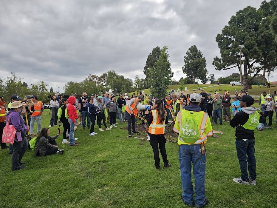 Arbor Day 2025