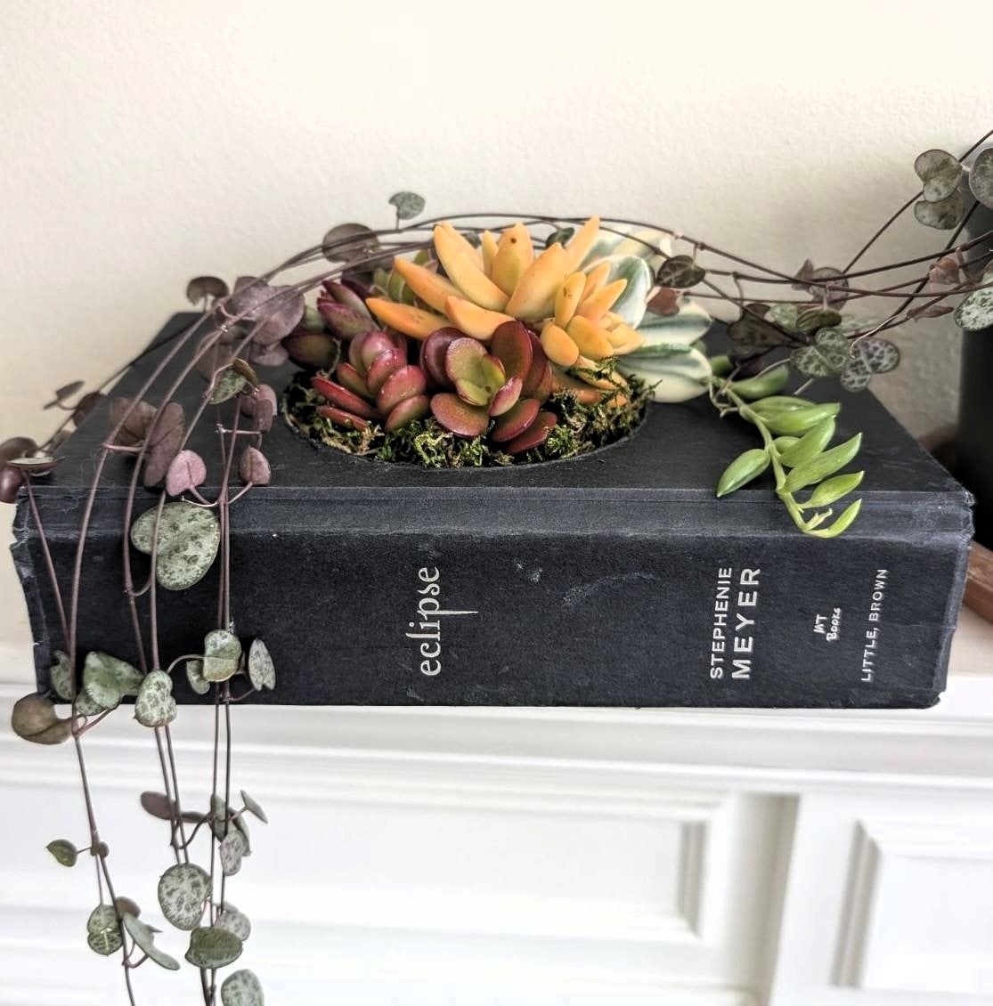 Book with succulent cuttings in the center.
